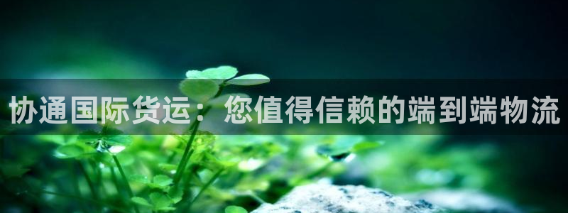 尊龙凯时总部在哪里：协通国际货运：您值得信赖的端到端物流