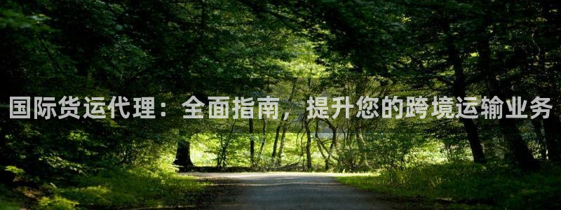 尊龙官方平台：国际货运代理：全面指南，提升您的跨境运输业